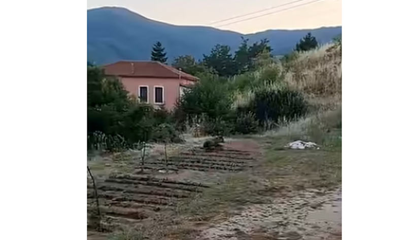 Δεν είναι πια “είδηση” – Οι αρκούδες ξανά και ξανά στις αυλές των σπιτιών στο Φούφα Εορδαίας...VIDEO