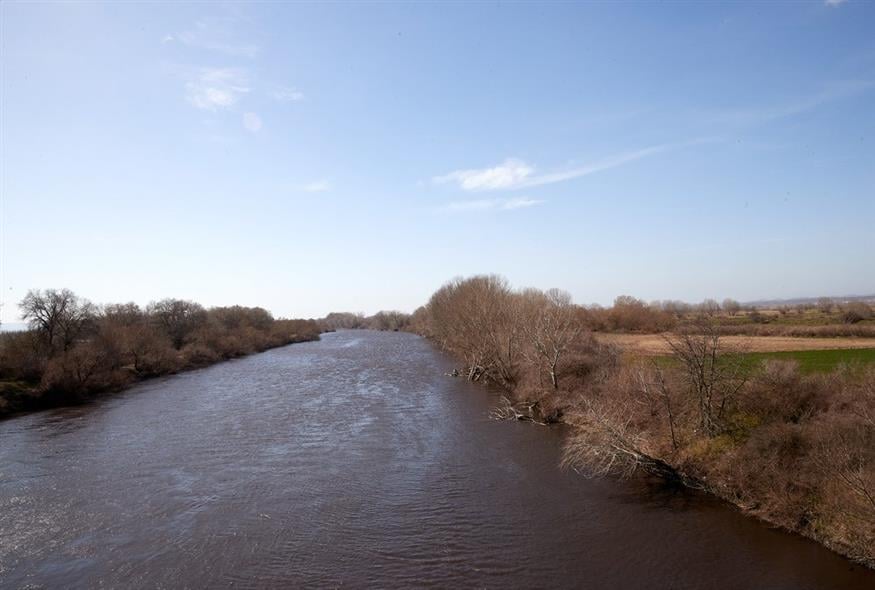 Δέλτα Έβρου: Άρχισαν να εντοπίζονται και φέτος νεκρά άλογα στη νησίδα λόγω έλλειψης νερού