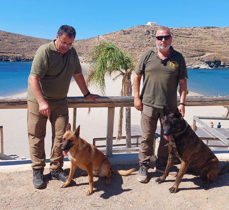 Γ' ΚΟΠ : Νέα επιχείρηση έρευνας για δηλητηριασμένα δολώματα στην Κύθνο