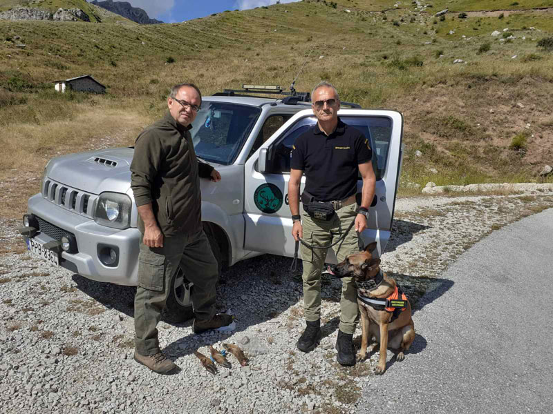 Φόλες εντόπισε ο ειδικά εκπαιδευμένος σκύλος της Ζ' ΚΟΘ