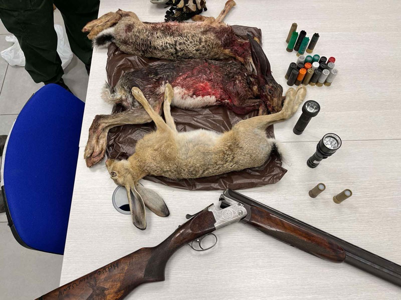 Κύπρος : Σοβαρή υπόθεση λαθροθηρίας λαγών