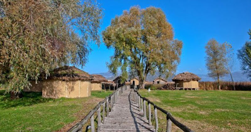 Καστοριά :Εκλεισε ο Λιμναίος Οικισμός Δισπηλιού μετά την εισβολή αρκούδας με τα δυο μικρά της...VIDEO