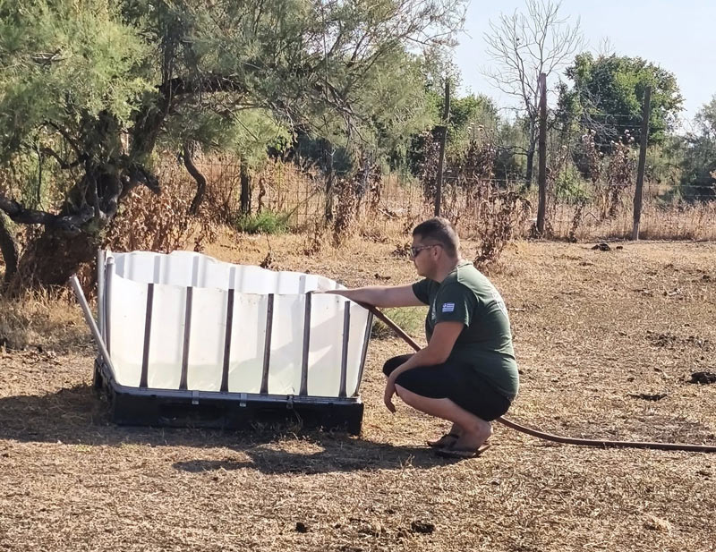 Αινήσιο Δέλτα : Αγώνας για τη μεταφορά πόσιμου νερού για τα άγρια άλογα