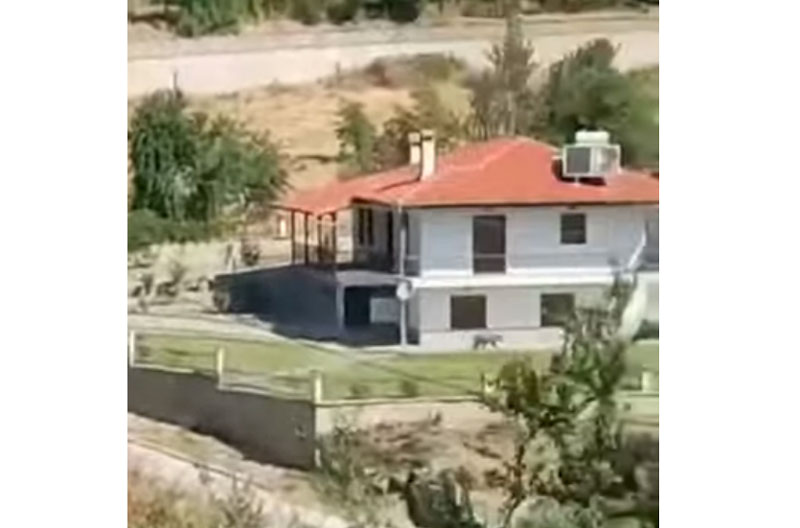 Αρκούδα εμφανίστηκε εντός κατοικίας στο Νεστόριο...VIDEO