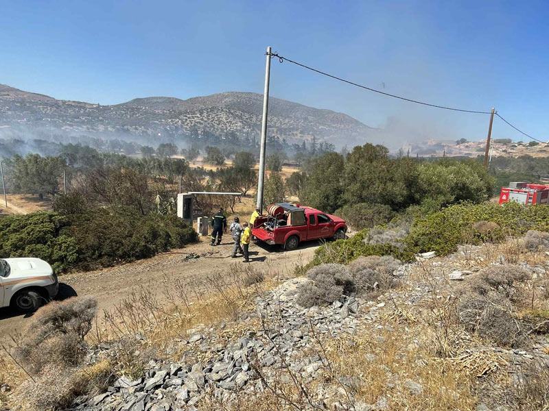 Κ.Σ. Λαυρίου: Άμεση δράση στην πυρκαγιά του Θορικού