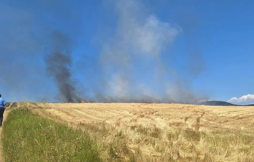 Σύλληψη και βαρύ πρόστιμο σε αγρότη που έκαιγε καλαμιά στη Λάρισα