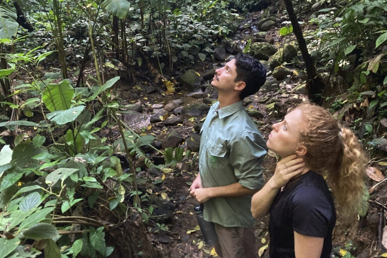 Η ανθρώπινη επαφή με τη φύση έχει μειωθεί κατά 60% τους τελευταίους δύο αιώνες