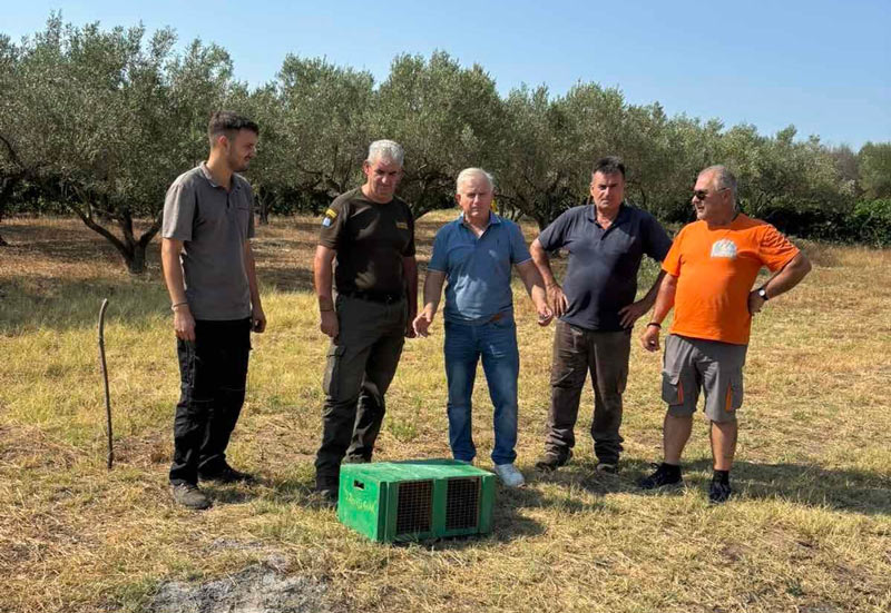 Κ.Σ. Νιγρίτας : Εμπλουτισμός βιοτόπων με λαγούς...VIDEO