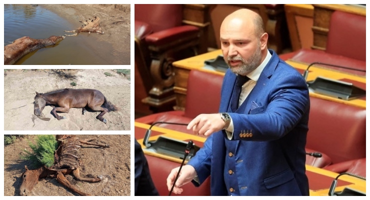 Πάρης Παπαδάκης: Θα κατατεθεί μηνυτήρια αναφορά στον κ. Εισαγγελέα για την καταστροφή στο Αινήσιο Δέλτα