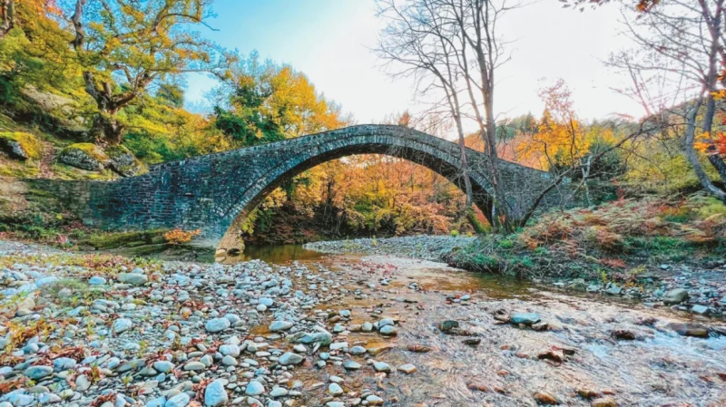 protoporiaki-ereyna-sta-ioannina-gia-ti-sotiria-ton-platanon