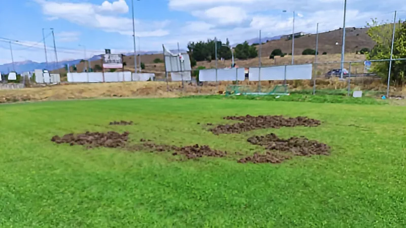 Βραδινές «προπονήσεις» από αγριογούρουνα στο αθλητικό κέντρο Σταυρακίου