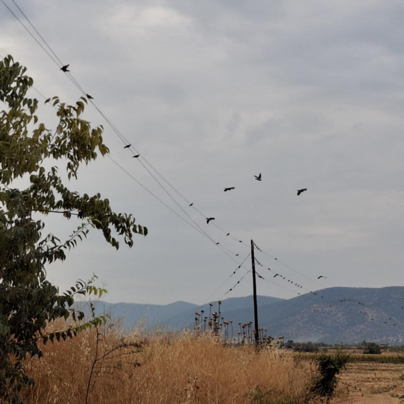 Ανταπόκριση περασμάτων : Ανασκόπηση της έναρξης...26/8/2025