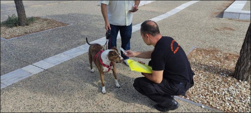 Σαφάρι ελέγχων για τα κατοικίδια στην Αλεξανδρούπολη