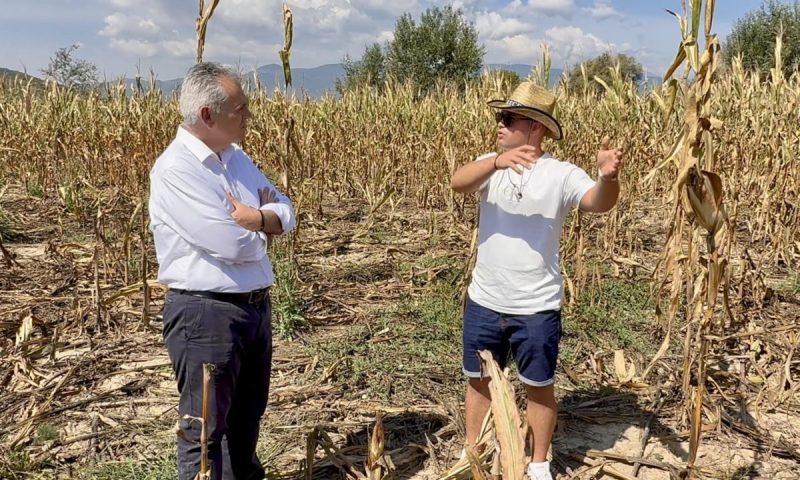 Χαρακόπουλος: Να αποζημιώνει ο ΕΛΓΑ ζημιές από αγριογούρουνα...VIDEO