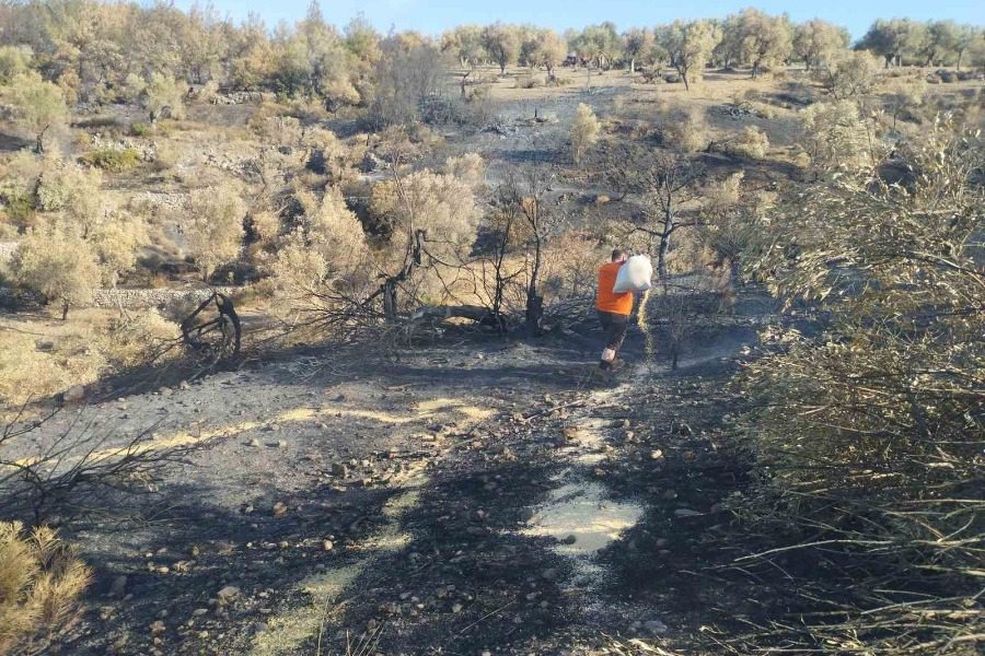Οι κυνηγοί....φύλακες της φύσης