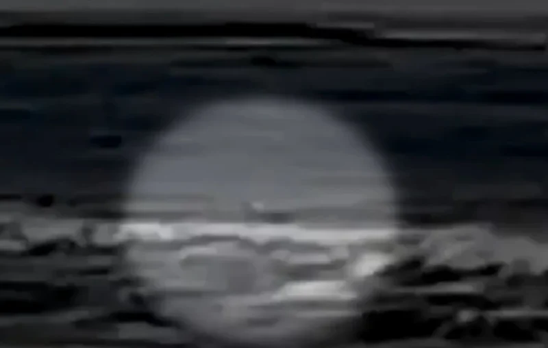 Συγκλονιστικό βίντεο από την επίθεση του καρχαρία στον ομογενή σέρφερ