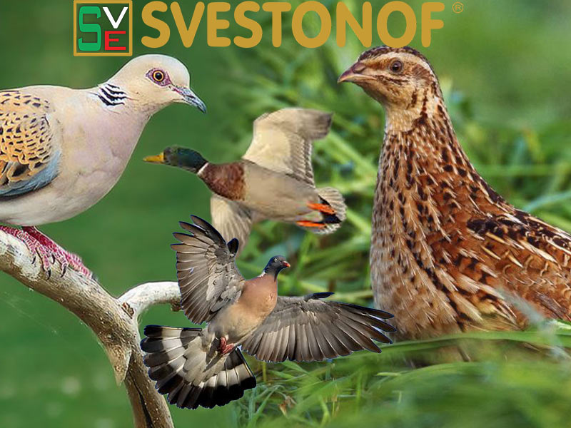 Ανταπόκριση περασμάτων : Καλές καρπώσεις στις περιοχές που άνοιξαν εχθές....16/9/2025