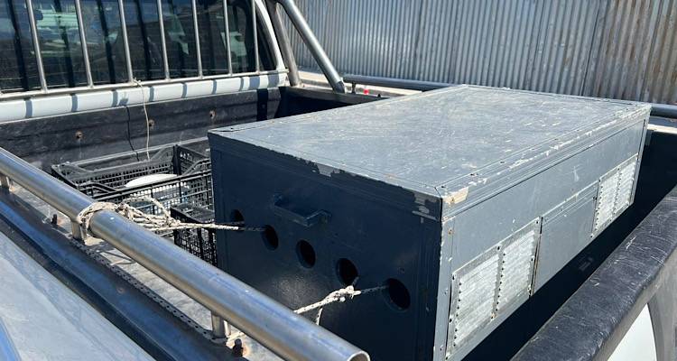 Αθωώθηκε ο 31χρονος κυνηγός που κατηγορήθηκε για κακομεταχείριση δυο σκυλιών στη Λήμνο