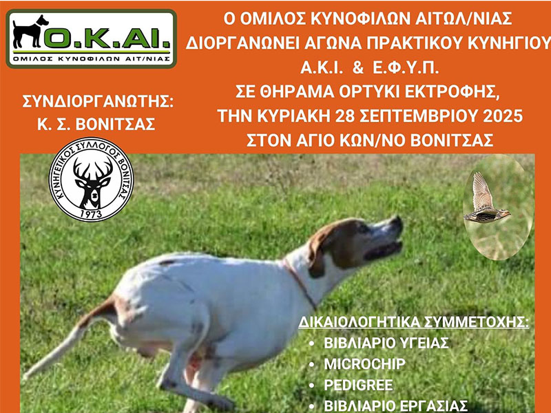 agonas-praktikoy-kynigioy-se-ortyki-sti-vonitsa-stis-24-septemvrioy Αγώνας πρακτικού κυνηγιού σε ορτύκι στη Βόνιτσα στις 28 Σεπτεμβρίου