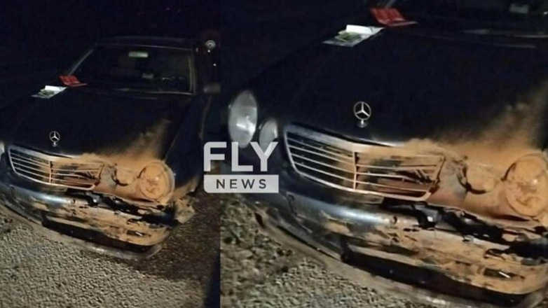 Λακωνία: Αγέλη από αγριογούρουνα, συγκρούστηκε με αυτοκίνητο