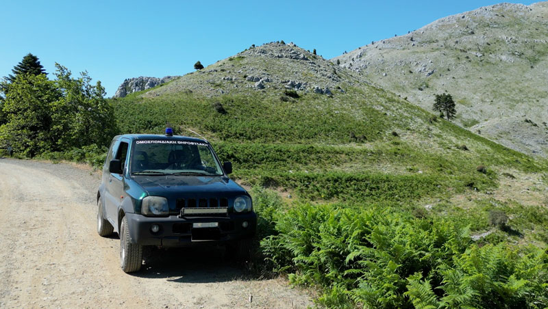 Εύβοια : Η Ομοσπονδιακή Θηροφυλακή της Δ' ΚΟΣΕ εγγύηση για τον πληθυσμός της ορεινής πέρδικας
