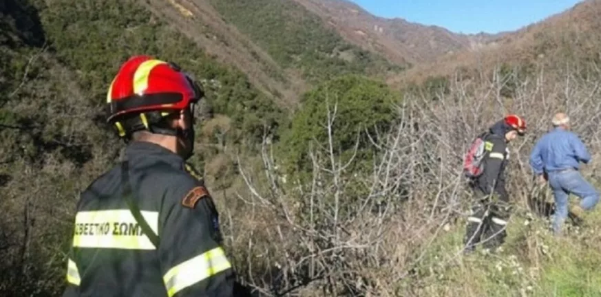 Καλάβρυτα: Επιχείρηση της Πυροσβεστικής για τον απεγκλωβισμό πέντε κυνηγόσκυλων στο Πλανητέρο