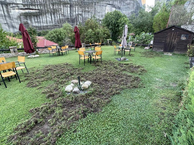 Καταστροφές από αγριογούρουνα σε ιδιωτική επιχείρηση στο Καστράκι...VIDEO