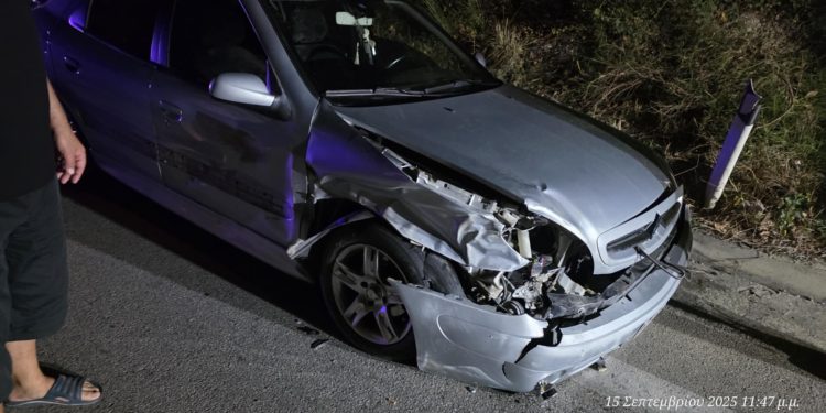 Τροχαίο με αγριογούρουνο πριν τη γέφυρα των Σερβίων