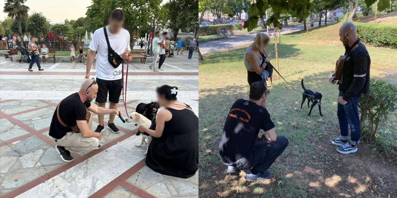 Θεσσαλονίκη: Έλεγχοι και πρόστιμα σε ιδιοκτήτες ζώων συντροφιάς