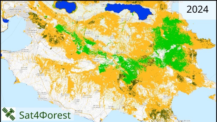 Την υγεία των ελληνικών δασών χαρτογραφούν επιστήμονες στο ΑΠΘ