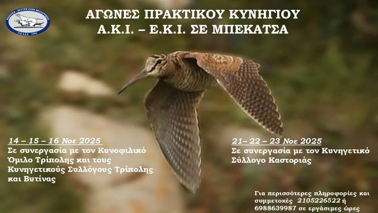 571205093_830215122740519_8418149186738378427_n.jpg αγώνας σε μπεκάτσα