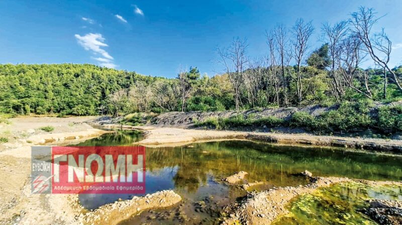 Εύβοια : Ο ποταμός Κηρέας εκπέμπει SOS λόγω μύκητα στα δέντρα