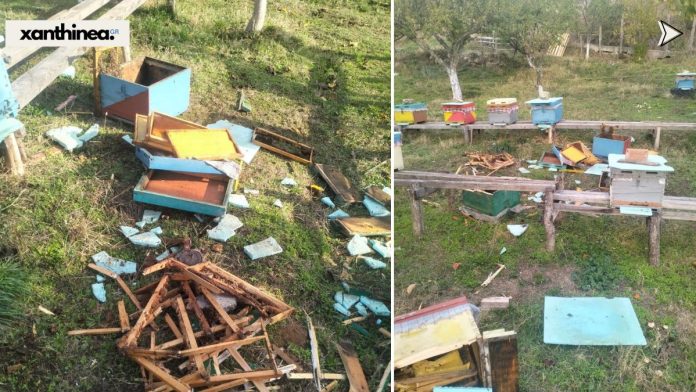 arkouda-kotuli-696×392 Ξάνθη: Αρκούδα προκάλεσε εκτεταμένες ζημιές σε μελίσσια στην Κοτύλη