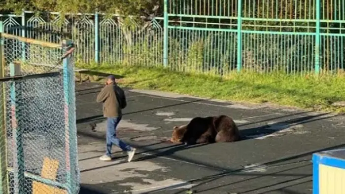 Σκηνές τρόμου στη Ρωσία : Αρκούδα σκότωσε γυναίκα έξω από σχολείο...VIDEO