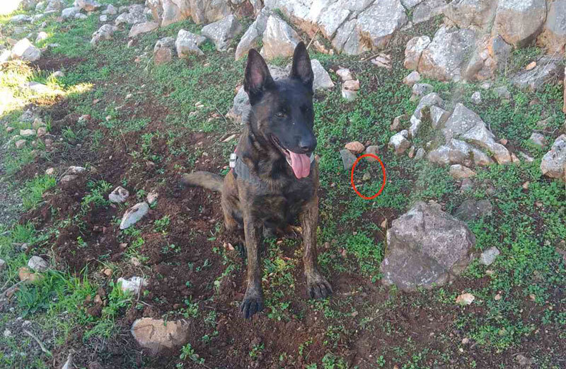 c2b4d3c3a6c22003850a399c1a903ebdad811515 Γ' ΚΟΠ : Φόλες στις ανεμογεννήτριες Διδύμων στην Ερμιονίδα