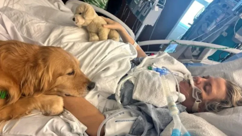 dog_therapy Σκύλος θεραπείας ξύπνησε γυναίκα από ιατρικό κώμα στη Φλόριντα – «Θαύμα» λέει η ίδια