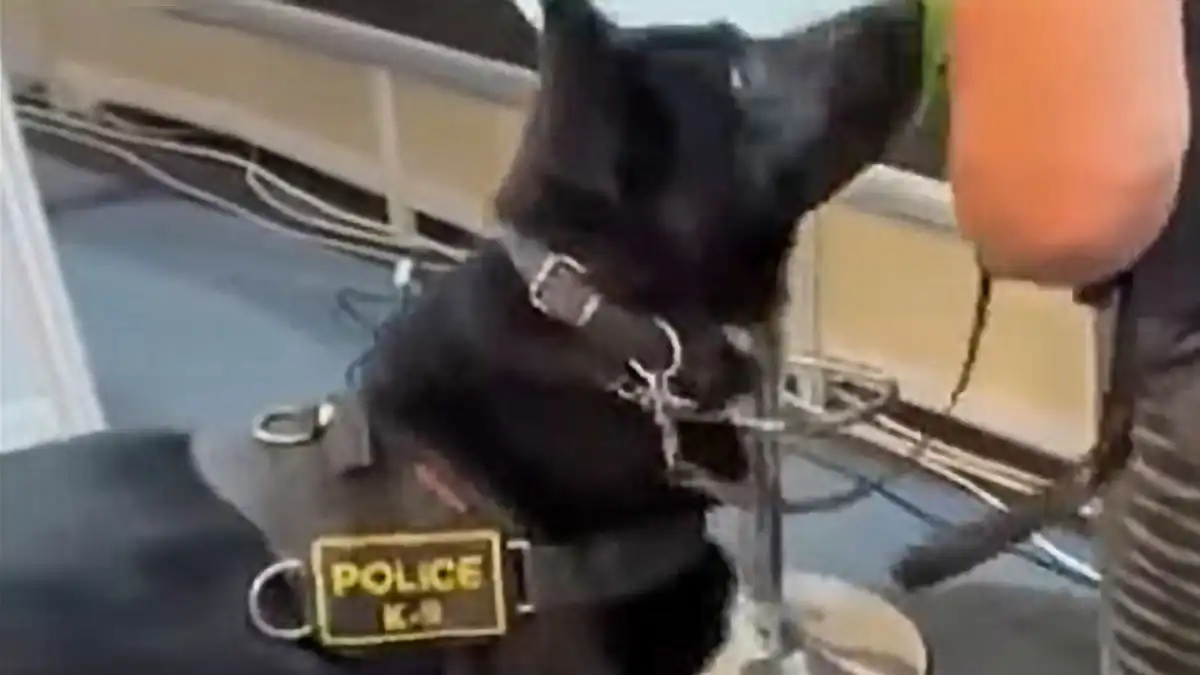 Ο αστυνομικός σκύλος MAX «έκλεψε την παράσταση» στην Πανελλήνια Έκθεση Άρτας ...VIDEO