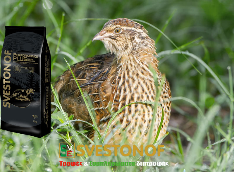 Ανταπόκριση περσμάτων : Μπήκαν ορτύκια πριν την κακοκαιρία...2/10/2025