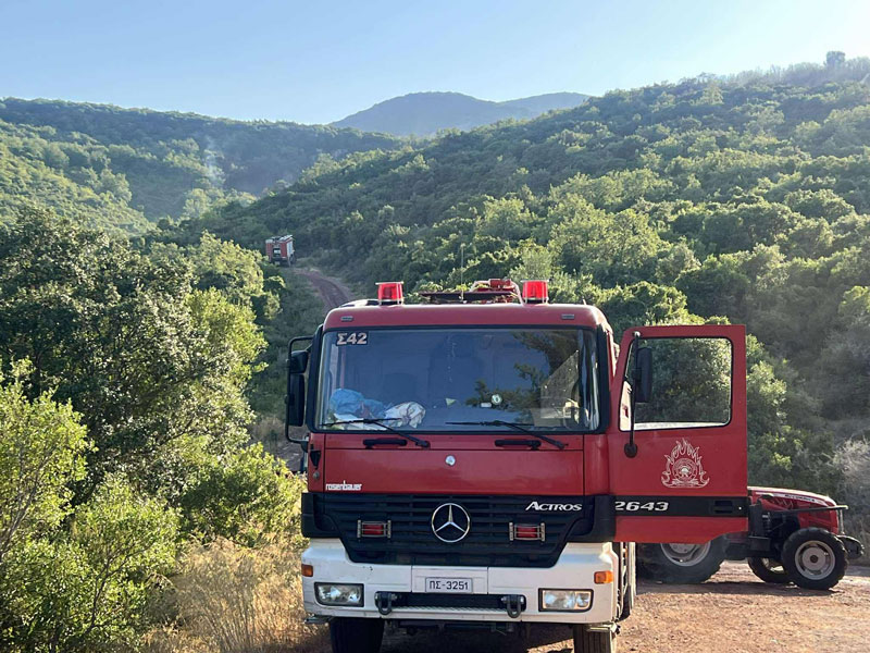 pyrosvestiki-4 Καστοριά: Επιχείρηση διάσωσης κυνηγόσκυλου – Έπεσε σε γκρεμό μαζί με 10 αγριογούρουνα