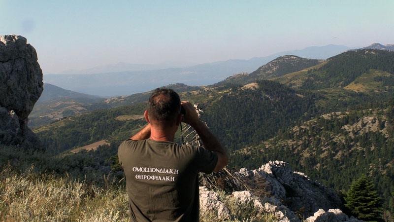 Η Ομοσπονδιακή Θηροφυλακή της Δ'ΚΟΣΕ αποκαλύπτεται....VIDEO