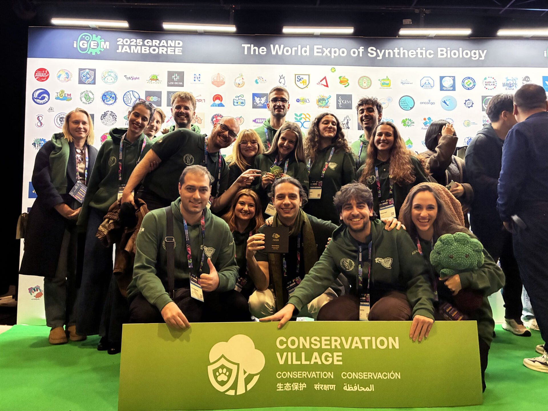 Το «χρυσό» που θα σώσει τα πλατάνια