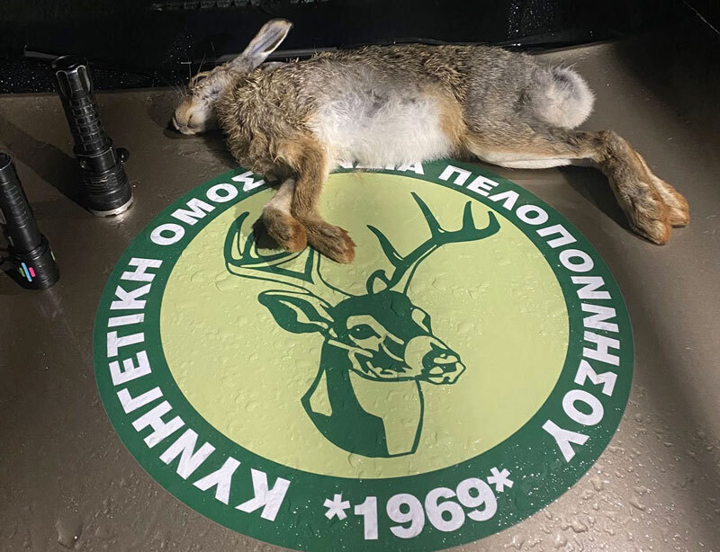 Σύλληψη δύο ατόμων για νυχτερινή λαθροθηρία στα Καλάβρυτα