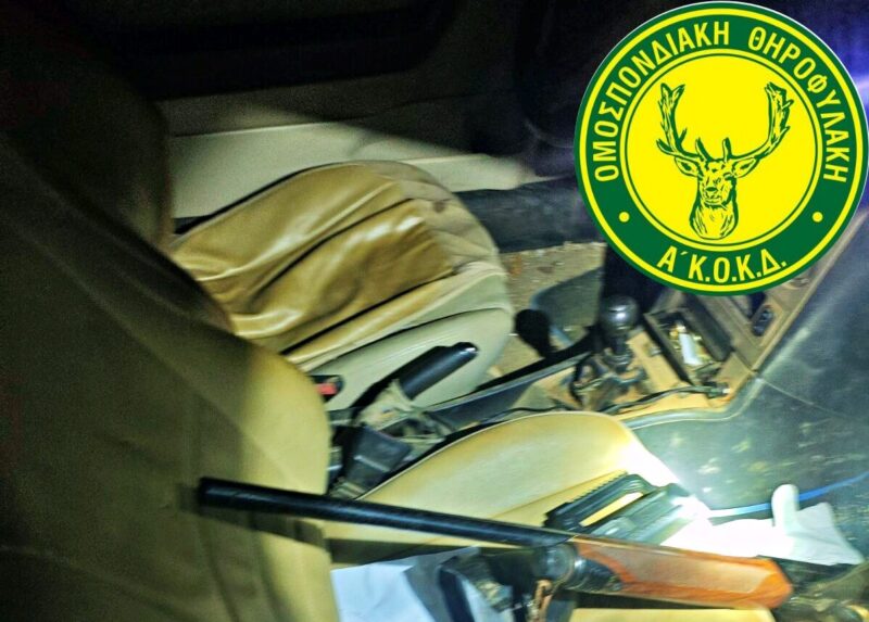 Νυχτερινή επιχείρηση για παράνομη θήρα στον Ομαλό: Θηροφύλακες εντόπισαν ύποπτο όχημα με καραμπίνα