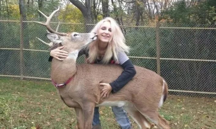 Τραγικός θάνατος για 64χρονη: Της επιτέθηκε ελάφι που φρόντιζε επί χρόνια