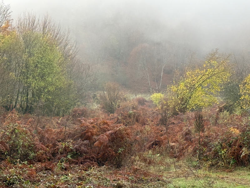 Καιρός 11/11/2025 : Ισχυρές βροχές και καταιγίδες σε Θράκη και νησιά Ανατολικού Αιγαίου