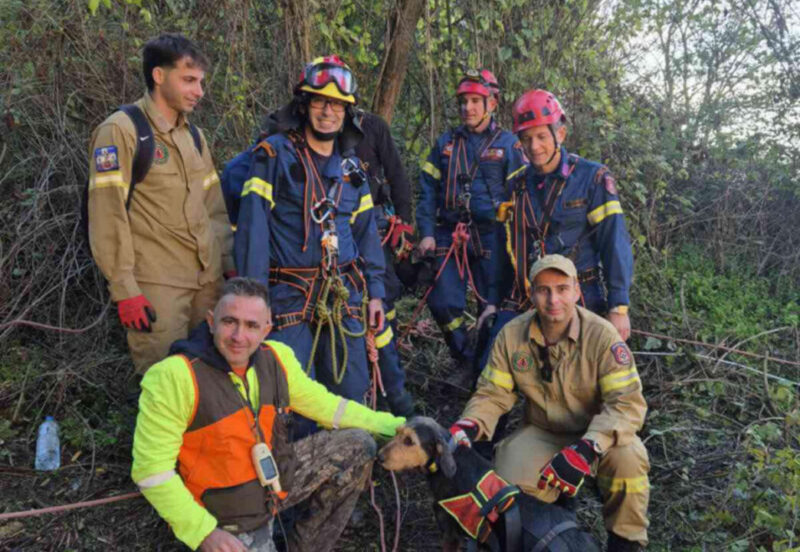 Διάσωση κυνηγόσκυλου από 50 μέτρα γκρεμό στο Νέο Ζυγό