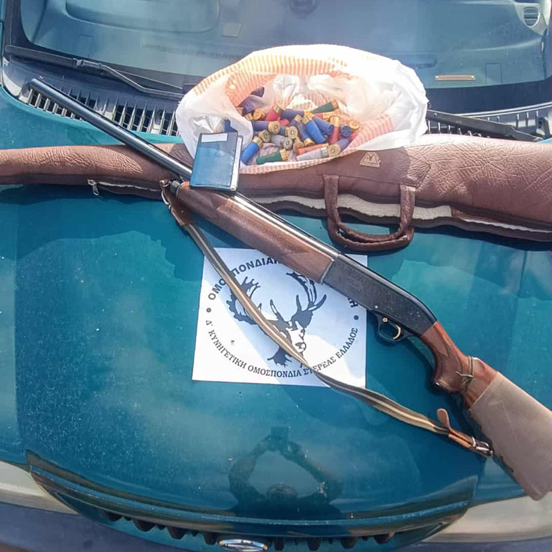 Λαθροθηρία σε τσίχλες με χρήση....κινητού