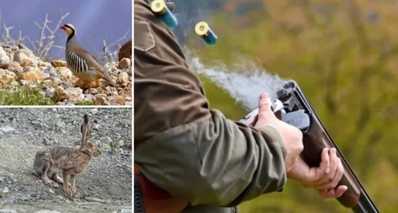 Κύπρος : Εξαφανίστηκε το θήραμα - Φωνάζουν οι κυνηγοί