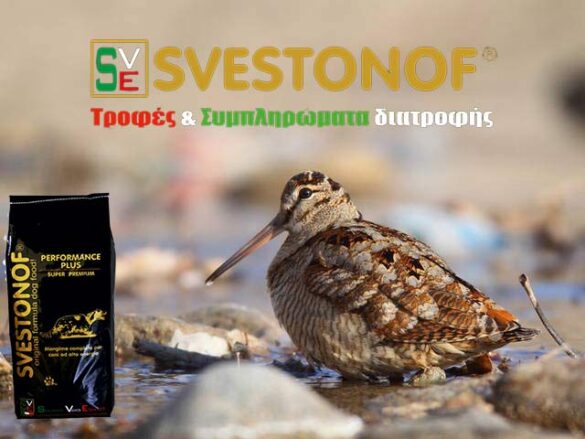 Ανταπόκριση περασμάτων : Η ώρα της μπεκάτσας έφτασε...3/11/2025