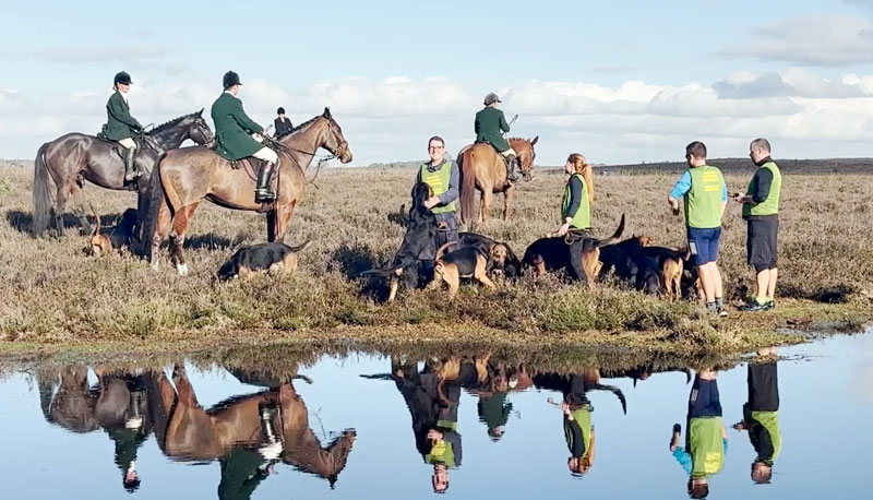 Αγγλία : "Κυνήγι" ανθρώπων με κυνηγόσκυλα...VIDEO